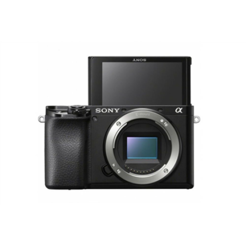 Sony ILCE-6100 E-Mount Camera, Black