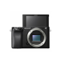 Sony ILCE-6100 E-Mount Camera, Black