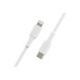 Belkin , BOOST CHARGE , CAA003bt1MWH , USB-C to Lightning USB-C , Lightning
