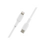 Belkin , BOOST CHARGE , CAA003bt1MWH , USB-C to Lightning USB-C , Lightning