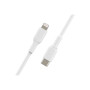Belkin , BOOST CHARGE , CAA003bt1MWH , USB-C to Lightning USB-C , Lightning