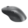 Lenovo , Professional Bluetooth Rechargeable Mouse , 4Y51J62544 , Full-Size Wireless Mouse , Wireless , Wireless , Grey