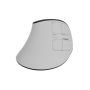 Natec Mouse , Euphonie Pro , Wireless , 2.4 GHz, Bluetooth , White