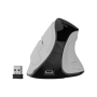Natec Mouse , Euphonie Pro , Wireless , 2.4 GHz, Bluetooth , White