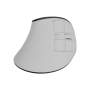 Natec Mouse , Euphonie Pro , Wireless , 2.4 GHz, Bluetooth , White