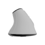 Natec Mouse , Euphonie Pro , Wireless , 2.4 GHz, Bluetooth , White