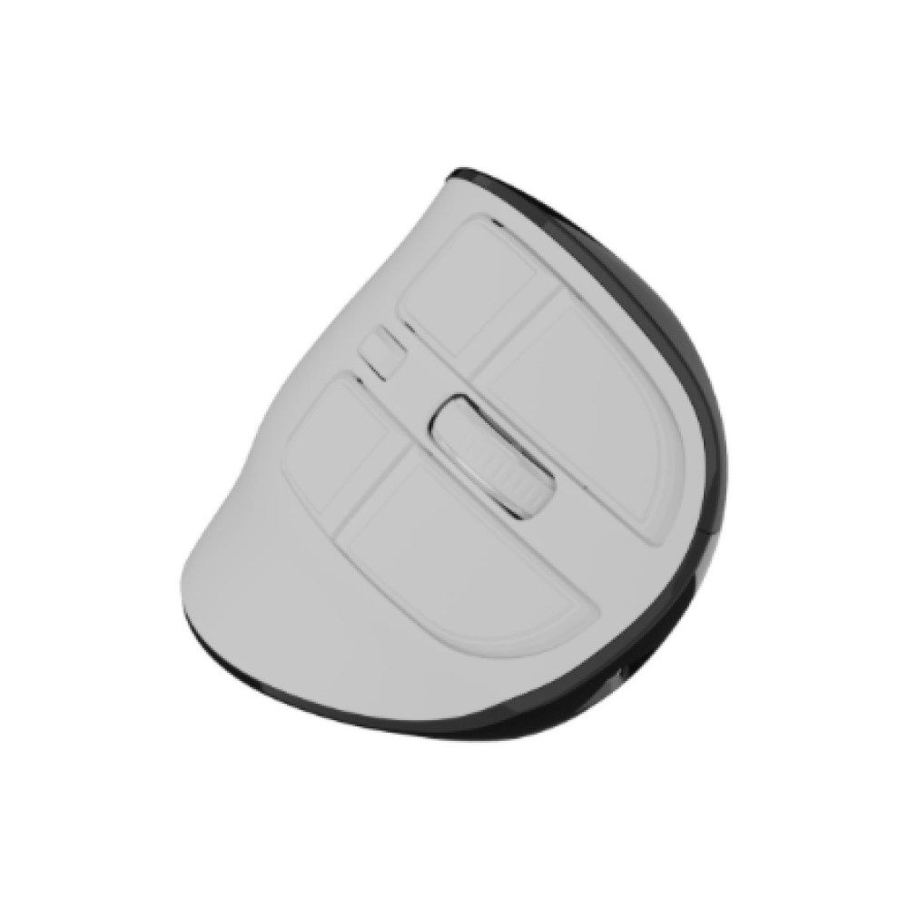 Natec Mouse , Euphonie Pro , Wireless , 2.4 GHz, Bluetooth , White