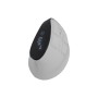 Natec Mouse , Euphonie Pro , Wireless , 2.4 GHz, Bluetooth , White