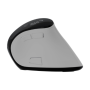 Natec Mouse , Euphonie Pro , Wireless , 2.4 GHz, Bluetooth , White