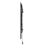 Neomounts Wall mount , WL35-550BL14 TV mount wall , Tilt , 32-75 , Maximum weight (capacity) 50 kg , Black