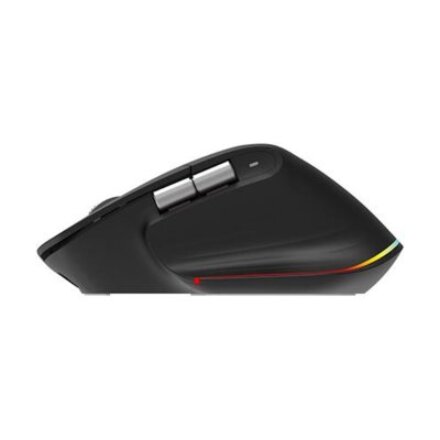 Acer Easy Fit wireless Mouse ,2.4GHz and BT5.0 , Black , Acer