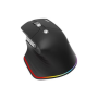 HP.EXPBG.021 Acer Easy Fit wireless Mouse ,2.4GHz and BT5.0 , Black , Acer