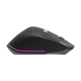 HP.EXPBG.021 Acer Easy Fit wireless Mouse ,2.4GHz and BT5.0 , Black , Acer