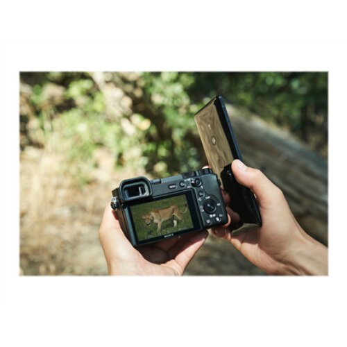 Sony ILCE-6600 E-Mount Camera, Black , Sony , E-Mount Camera , ILCE-6600 , Mirrorless Camera body , 24.2 MP , ISO sensitivity (max) 102400 , Display diagonal 3.0 , Video recording , Wi-Fi , Fast Hybrid AF , Magnification 1.07 x , Viewfinder , CMOS , Black