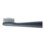 Panasonic , Electric Toothbrush , EW-DM81-G503 , Rechargeable , For adults , Number of brush heads included 2 , Number of teeth brushing modes 2 , Sonic technology , White/Mint