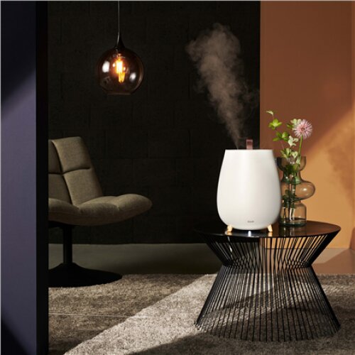 Duux , Humidifier Gen2 , Tag , Ultrasonic , 12 W , Water tank capacity 2.5 L , Suitable for rooms up to 30 m² , Ultrasonic , Humidification capacity 250 ml/hr , White