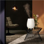 Duux , Humidifier Gen2 , Tag , Ultrasonic , 12 W , Water tank capacity 2.5 L , Suitable for rooms up to 30 m² , Ultrasonic , Humidification capacity 250 ml/hr , White
