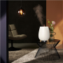 Duux , Humidifier Gen2 , Tag , Ultrasonic , 12 W , Water tank capacity 2.5 L , Suitable for rooms up to 30 m² , Ultrasonic , Humidification capacity 250 ml/hr , White