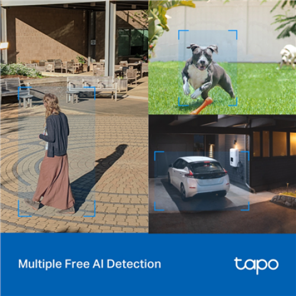 TP-LINK , Pan/Tilt Security Wi-Fi Camera , Tapo C520WS , Dome , 4 MP , 3.18 mm/F1.6 , IP66 , H.264 , MicroSD, up to 512 GB