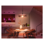 Philips Hue WCA 810 A60 3P EU , E27 , 6 W , Bluetooth, Zigbee