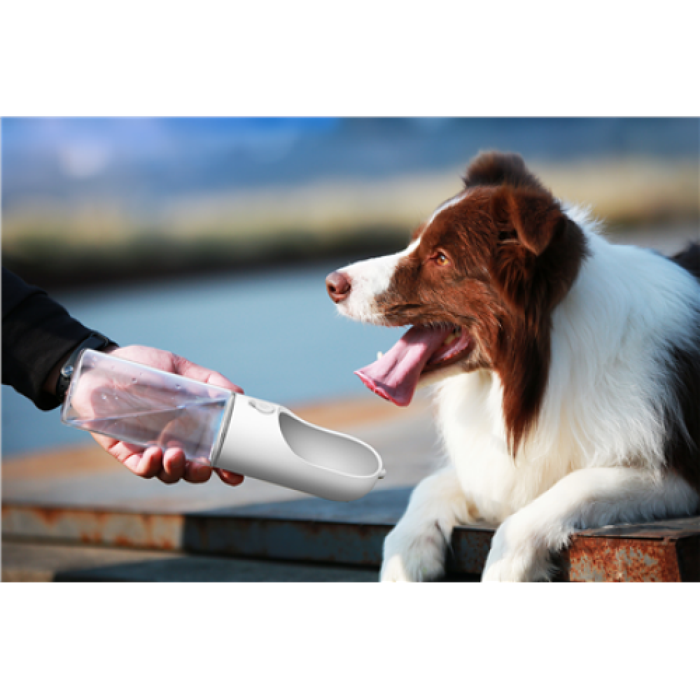 PETKIT , Eversweet Travel , Pet Bottle , Capacity 0.4 L , Material BioCleanAct and Tritan (BPA Free) , White