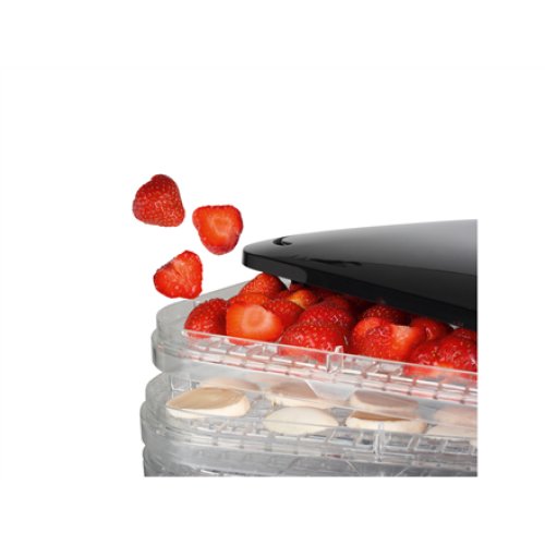 Princess , Food Dryer , 112380 , Power 245 W , Number of trays 6 , Temperature control , Black