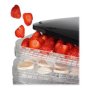 Princess , Food Dryer , 112380 , Power 245 W , Number of trays 6 , Temperature control , Black