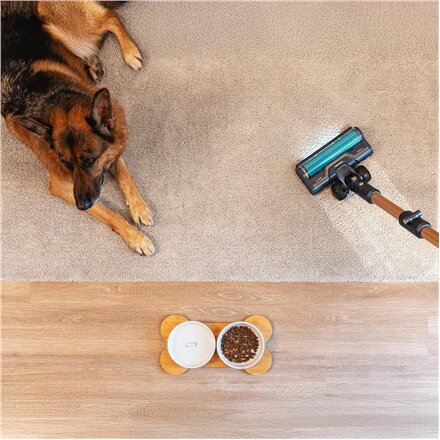 Cecotec Vacuum cleaner , Rockstar RX70 AquaPet Flex Conga , Cordless operating , Stick/handheld , 780 W , Operating time (max) 100 min , Blue/Gold