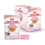 Royal Canin , FHN Cat Kitten Instinctive Jelly, 12x85 g
