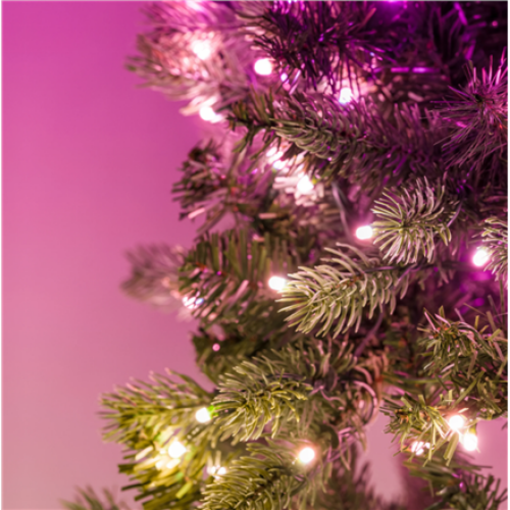 Twinkly Pre-lit Garland Smart LED 50 RGBW (Multicolor + White) , Twinkly , Pre-lit Garland Smart LED 50, 2.5 m , RGBW – 16M+ colors + Warm white