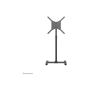 Neomounts Floor stand , NS-FS100BLACK , Height adjustment, Tilt, Rotate , 10-55 , Maximum weight (capacity) 20 kg , Black