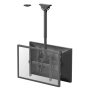Neomounts NM-C440DBLACK Dual monitor/TV mount ceiling , Adjustable Height, Rotate, Tilt, Swivel , 32-60 , Maximum weight (capacity) 45 kg , Black