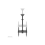 Neomounts NM-C440DBLACK Dual monitor/TV mount ceiling , Adjustable Height, Rotate, Tilt, Swivel , 32-60 , Maximum weight (capacity) 45 kg , Black