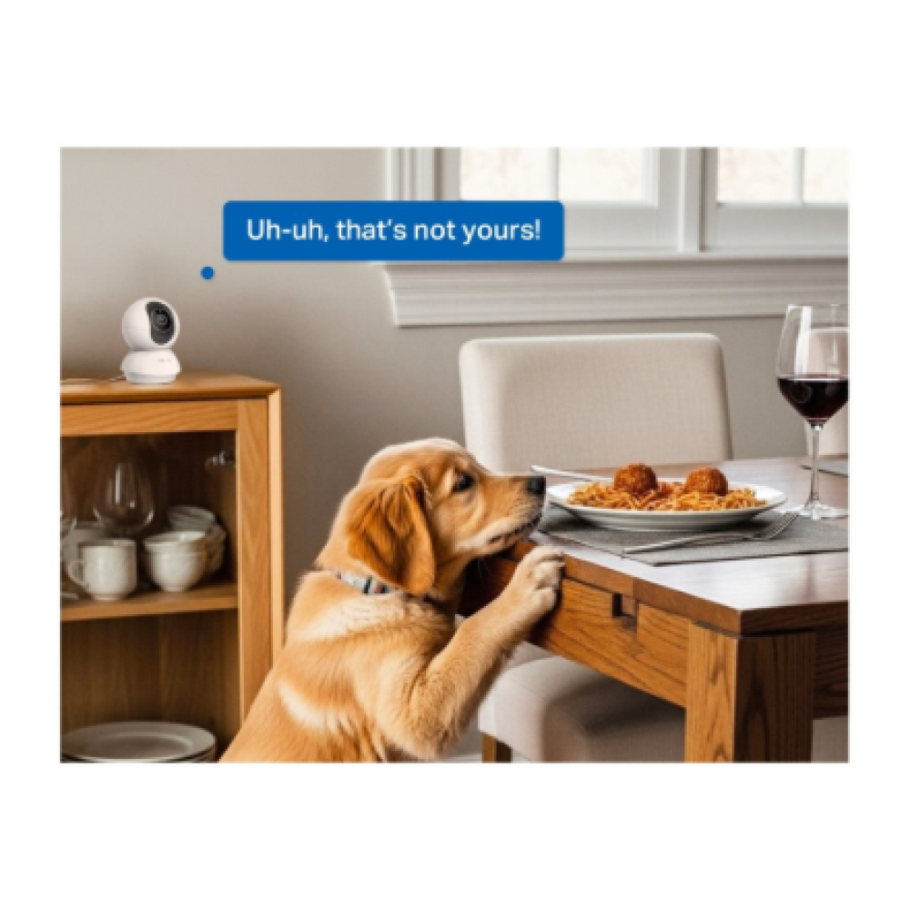 TP-LINK Tapo C250 , Pan/Tilt AI Home Security Wi-Fi Camera , PTZ , 8 MP , 4mm/F1.6 , H.265 , MicroSD Card up to 512 GB