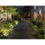 Philips Hue WCA Appear Outdoor Wall Lantern, Inox , 8 W , 2000-6500 Hue White Colour Ambiance