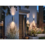 Philips Hue WCA Appear Outdoor Wall Lantern, Inox , 8 W , 2000-6500 Hue White Colour Ambiance