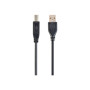 Cablexpert , CCP-USB2-AMBM-6 , USB-A to USB-B USB B