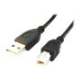 Cablexpert , CCP-USB2-AMBM-6 , USB-A to USB-B USB B