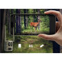 Reolink , 4K 4G Cellular Trail Camera with Live Streaming , Talon Series S130 , Trail , 8 MP , 4mm/F1.6 , IP67 , H.265 , MicroSD Card, up to 256 GB