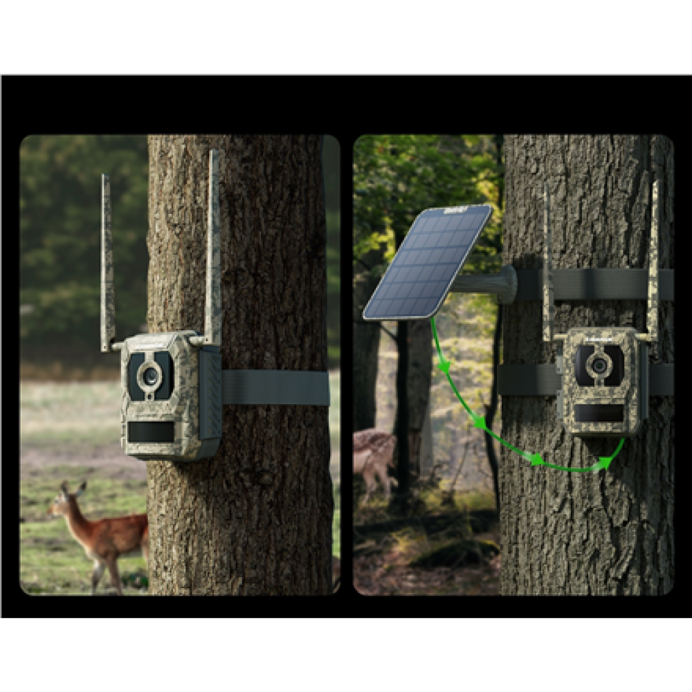 Reolink , 4K 4G Cellular Trail Camera with Live Streaming , Talon Series S130 , Trail , 8 MP , 4mm/F1.6 , IP67 , H.265 , MicroSD Card, up to 256 GB