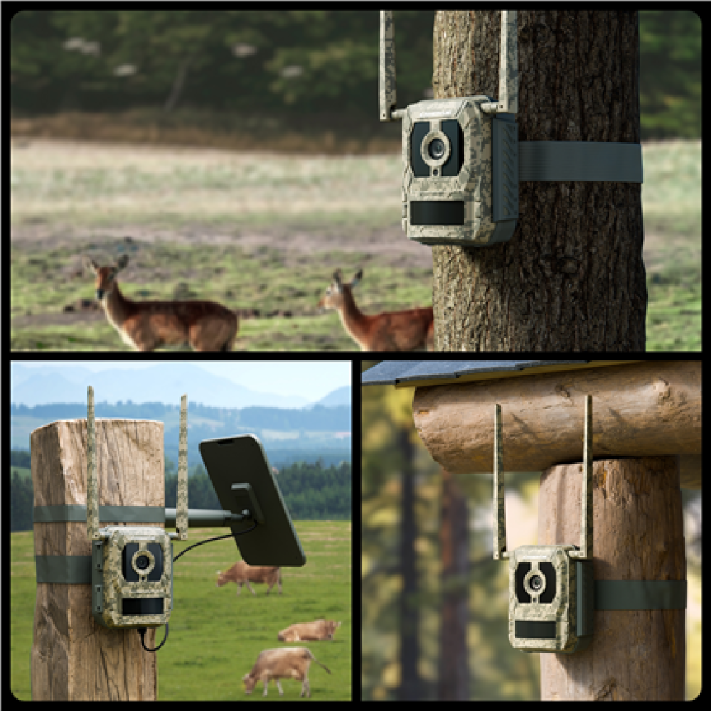 Reolink , 4K 4G Cellular Trail Camera with Live Streaming , Talon Series S130 , Trail , 8 MP , 4mm/F1.6 , IP67 , H.265 , MicroSD Card, up to 256 GB
