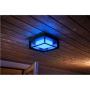 Philips Hue WCA Econic Outdoor Square Wall Lantern , 15 W , 2000-6500 Hue White Colour Ambiance