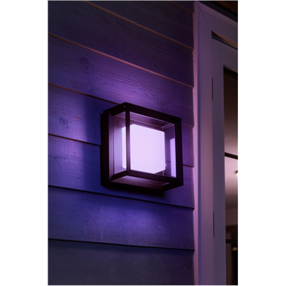 Philips Hue WCA Econic Outdoor Square Wall Lantern , 15 W , 2000-6500 Hue White Colour Ambiance