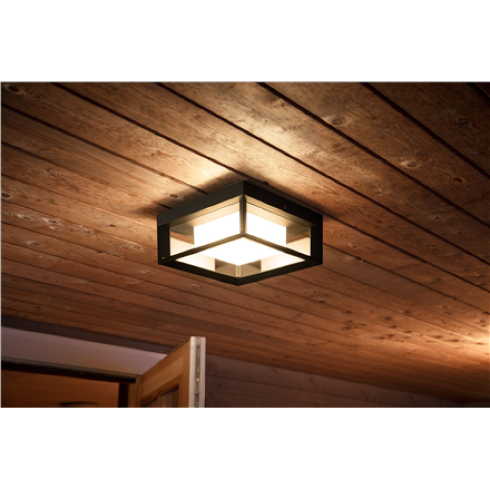 Philips Hue WCA Econic Outdoor Square Wall Lantern , 15 W , 2000-6500 Hue White Colour Ambiance
