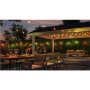 Philips Hue Hue Festavia Globe Outdoor String Lights, 14m Extension , 30 W
