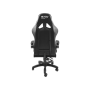 Fury Black/White