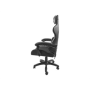 Fury Black/White