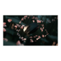Razer Orochi V2 , Gaming Mouse , Black , 2.4 GHz, Bluetooth