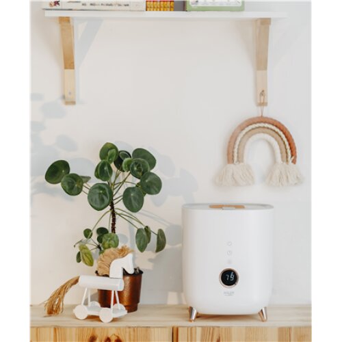 Adler , AD 7972 , Humidifier , 23 W , Water tank capacity 4 L , Suitable for rooms up to 35 m² , Ultrasonic , Humidification capacity 150-300 ml/hr , White