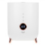 Adler , AD 7972 , Humidifier , 23 W , Water tank capacity 4 L , Suitable for rooms up to 35 m² , Ultrasonic , Humidification capacity 150-300 ml/hr , White